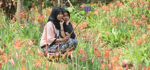 Selfie di Kebun Amarilis